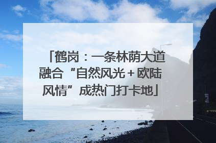 鹤岗：一条林荫大道融合“自然风光＋欧陆风情”成热门打卡地