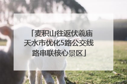 麦积山往返伏羲庙 天水市优化5路公交线路串联核心景区