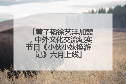 黄子韬徐艺洋加盟，中外文化交流纪实节目《小伙小妹换游记》六月上线