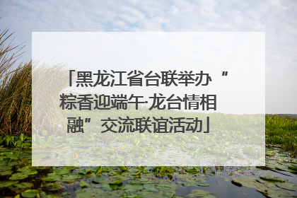 黑龙江省台联举办“粽香迎端午·龙台情相融”交流联谊活动