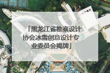 黑龙江省勘察设计协会冰雪创意设计专业委员会揭牌