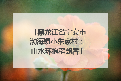 黑龙江省宁安市渤海镇小朱家村：山水环抱稻飘香