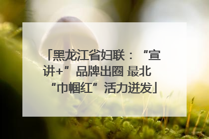 黑龙江省妇联：“宣讲+”品牌出圈 最北“巾帼红”活力迸发