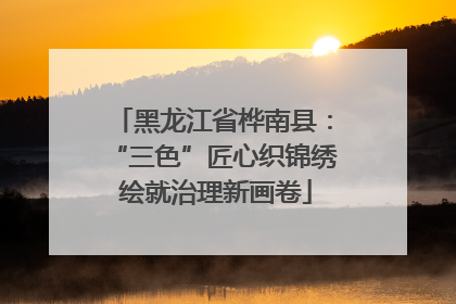 黑龙江省桦南县：“三色”匠心织锦绣 绘就治理新画卷