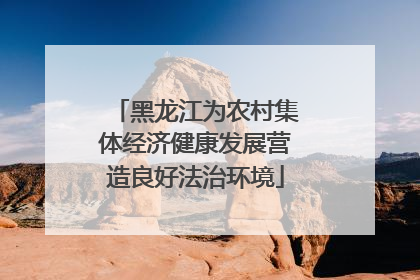 黑龙江为农村集体经济健康发展营造良好法治环境