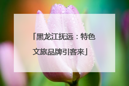 黑龙江抚远：特色文旅品牌引客来