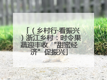 （乡村行·看振兴）浙江乡村：时令果蔬迎丰收 “甜蜜经济”促振兴