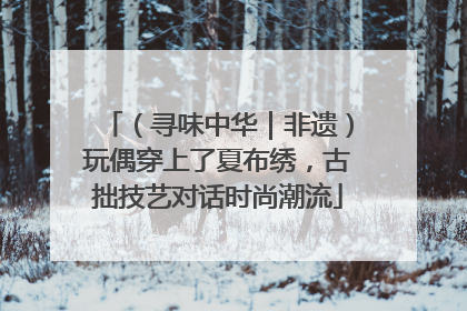 （寻味中华｜非遗）玩偶穿上了夏布绣，古拙技艺对话时尚潮流