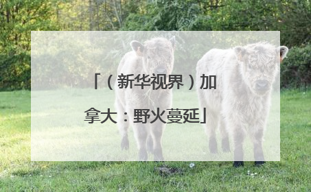 （新华视界）加拿大：野火蔓延