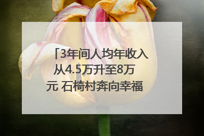 3年间人均年收入从4.5万升至8万元 石椅村奔向幸福好样子｜牵挂的村