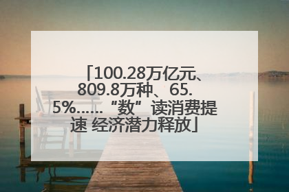 100.28万亿元、809.8万种、65.5%……“数”读消费提速 经济潜力释放