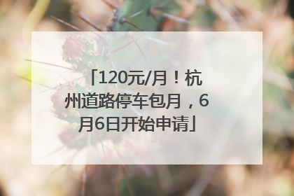 120元/月！杭州道路停车包月，6月6日开始申请