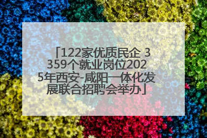 122家优质民企 3359个就业岗位2025年西安-咸阳一体化发展联合招聘会举办