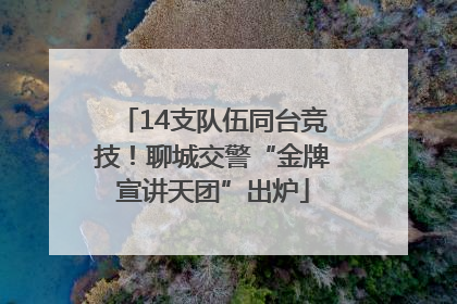 14支队伍同台竞技！聊城交警“金牌宣讲天团”出炉