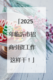 2025年临沂市招商引资工作这样干！