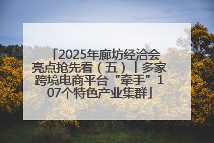 2025年廊坊经洽会亮点抢先看（五）丨多家跨境电商平台“牵手”107个特色产业集群
