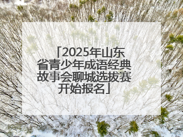 2025年山东省青少年成语经典故事会聊城选拔赛开始报名