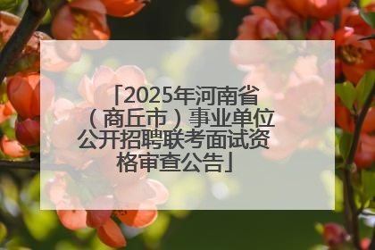 2025年河南省（商丘市）事业单位公开招聘联考面试资格审查公告