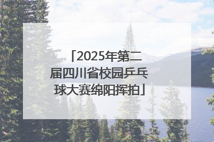 2025年第二届四川省校园乒乓球大赛绵阳挥拍