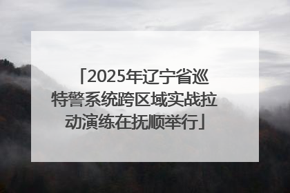 2025年辽宁省巡特警系统跨区域实战拉动演练在抚顺举行