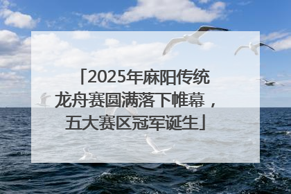 2025年麻阳传统龙舟赛圆满落下帷幕，五大赛区冠军诞生
