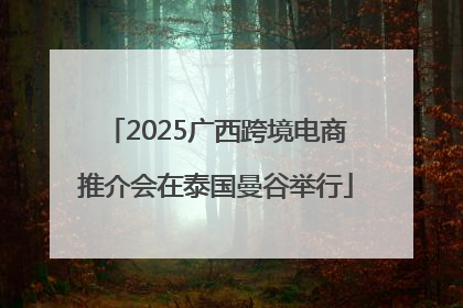 2025广西跨境电商推介会在泰国曼谷举行