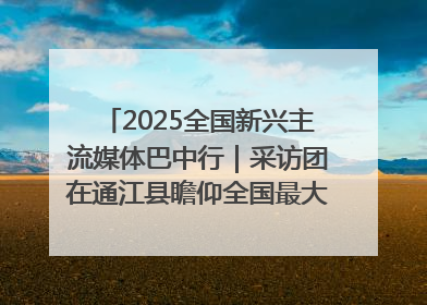 2025全国新兴主流媒体巴中行｜采访团在通江县瞻仰全国最大红军烈士陵园