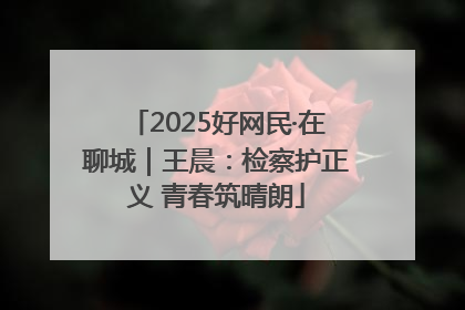 2025好网民·在聊城｜王晨：检察护正义 青春筑晴朗