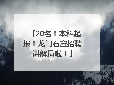 20名！本科起报！龙门石窟招聘讲解员啦！
