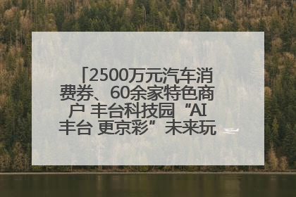 2500万元汽车消费券、60余家特色商户 丰台科技园“AI丰台 更京彩”未来玩家市集活动正式开幕