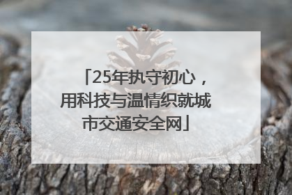 25年执守初心，用科技与温情织就城市交通安全网