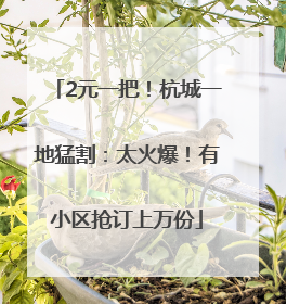 2元一把！杭城一地猛割：太火爆！有小区抢订上万份