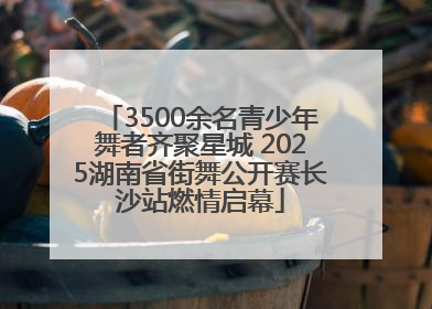 3500余名青少年舞者齐聚星城 2025湖南省街舞公开赛长沙站燃情启幕