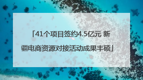 41个项目签约4.5亿元 新疆电商资源对接活动成果丰硕