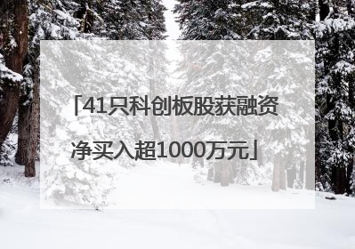 41只科创板股获融资净买入超1000万元