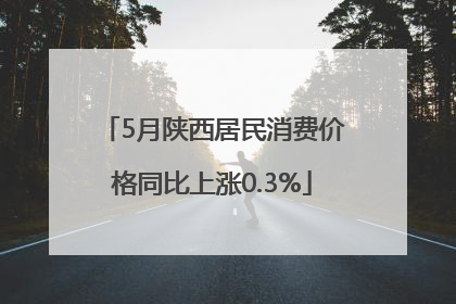 5月陕西居民消费价格同比上涨0.3%