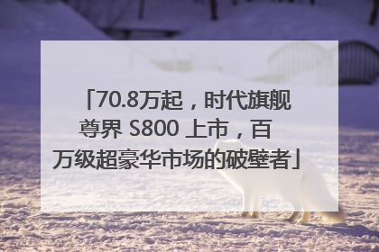 70.8万起，时代旗舰尊界 S800 上市，百万级超豪华市场的破壁者