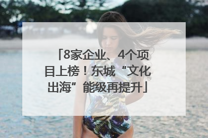 8家企业、4个项目上榜！东城“文化出海”能级再提升