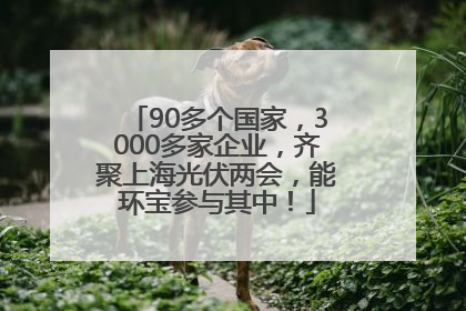 90多个国家，3000多家企业，齐聚上海光伏两会，能环宝参与其中！