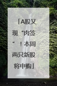 A股又现“肉签”！本周两只新股将申购