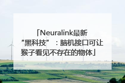 Neuralink最新“黑科技”：脑机接口可让猴子看见不存在的物体