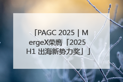 PAGC 2025｜MergeX荣膺「2025 H1 出海新势力奖」